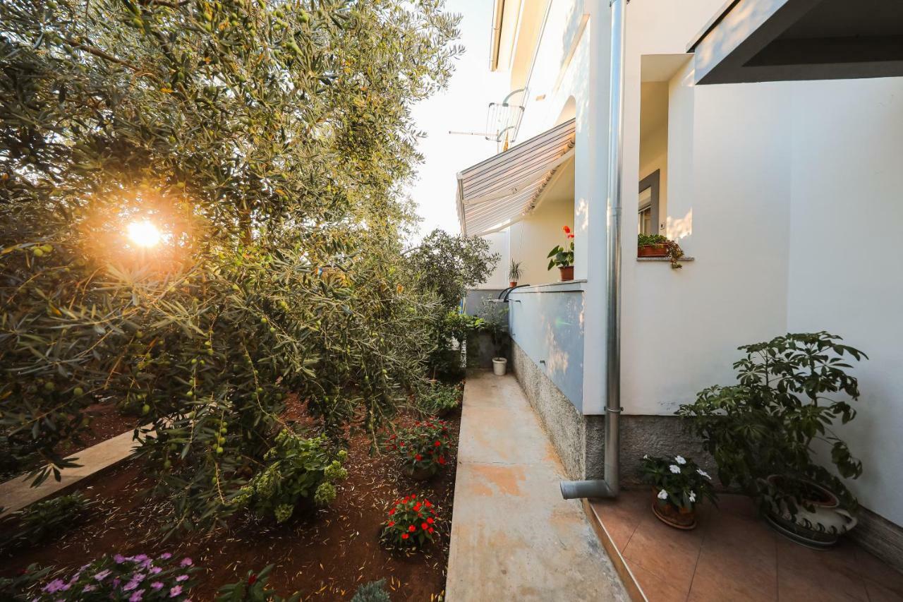Apartman Antisin Zadar Exterior foto